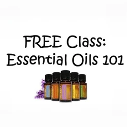 Chiropractic Rochester MN Essential Oil Class